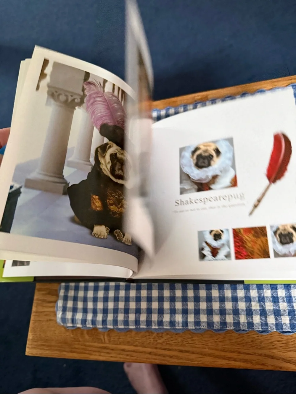 Fabulous Pugs by Lisa Knapp (2006, Hardcover)